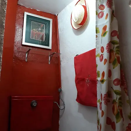 Проживание в семье Al-pinheiro 62