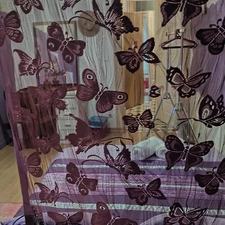 Проживание в семье Al-pinheiro 62