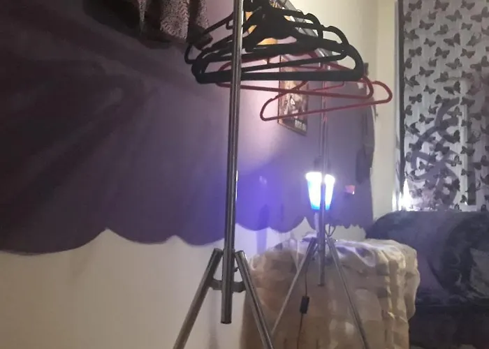 Al-pinheiro 62 Homestay szállás *